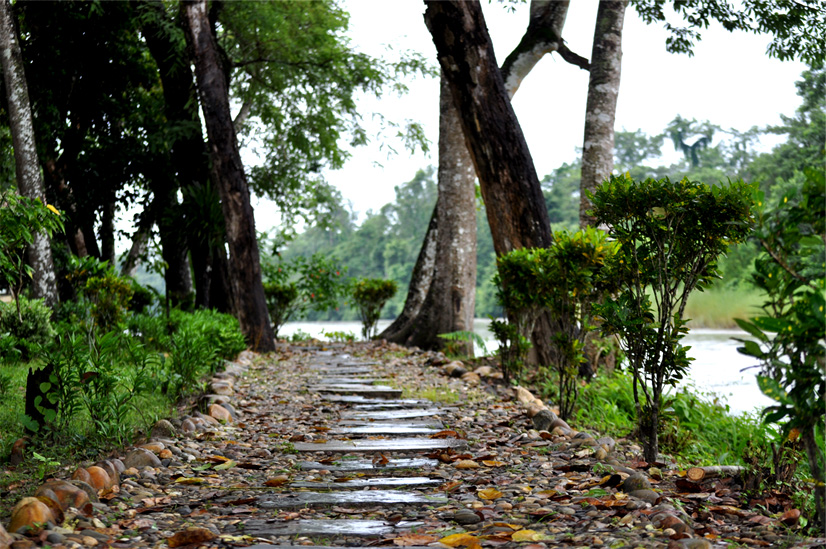 Jungle walk in Chitwan